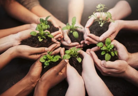 6 hands with plants growing inside